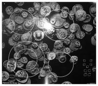 Электрическая варочная панель Zigmund-Shtain (Зигмунд-Штайн) CNS 95.6 DX