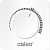 Терморегулятор CALEO C450