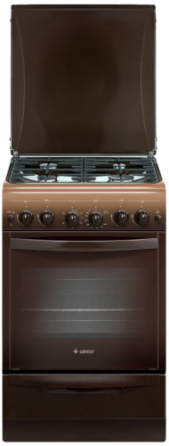 Комбинированная плита GEFEST (Гефест) 5101-02 0001