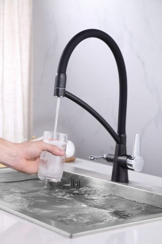 Смеситель для кухни Paulmark (Паульмарк) Holstein Ho213165-308, черный