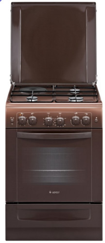 Комбинированная плита GEFEST (Гефест) 6110-02 0001